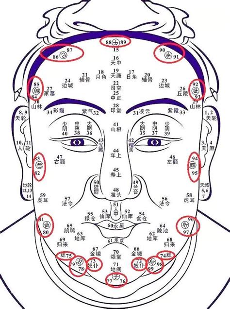 面相歲數|【面相歲數】驚！你的臉型竟透露了你的歲數！